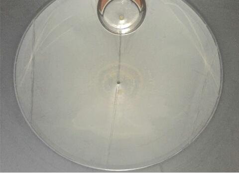 Cuve inox ferm&eacute;e sur pieds