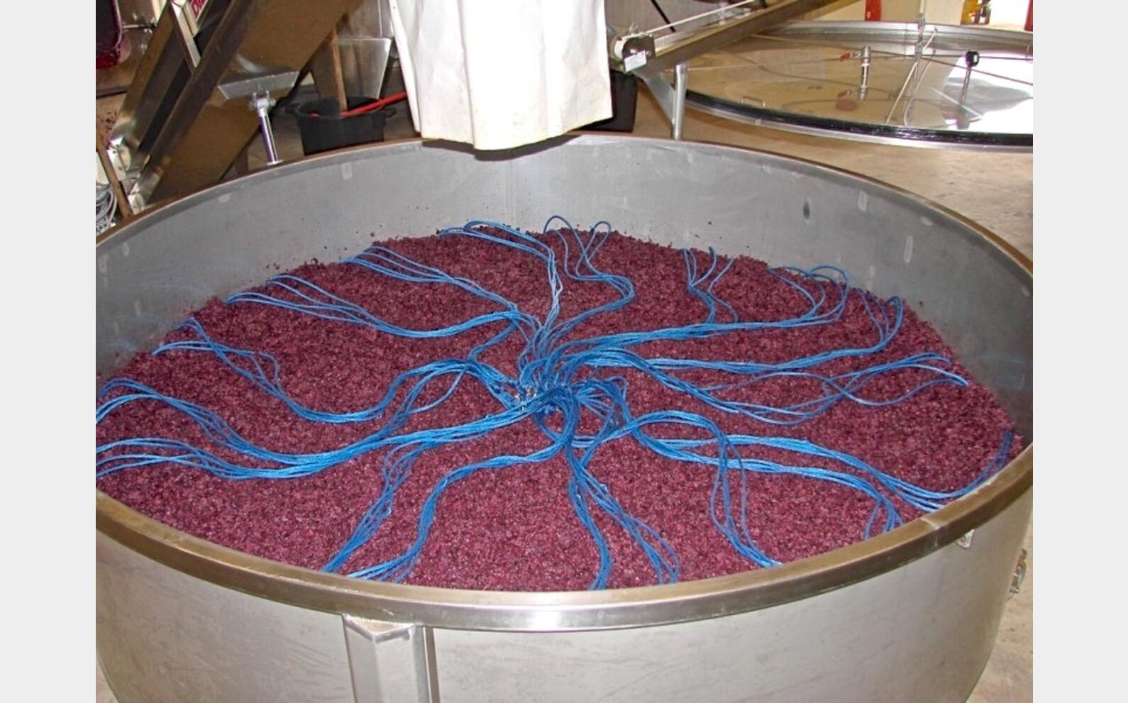 Pressoir sous vide