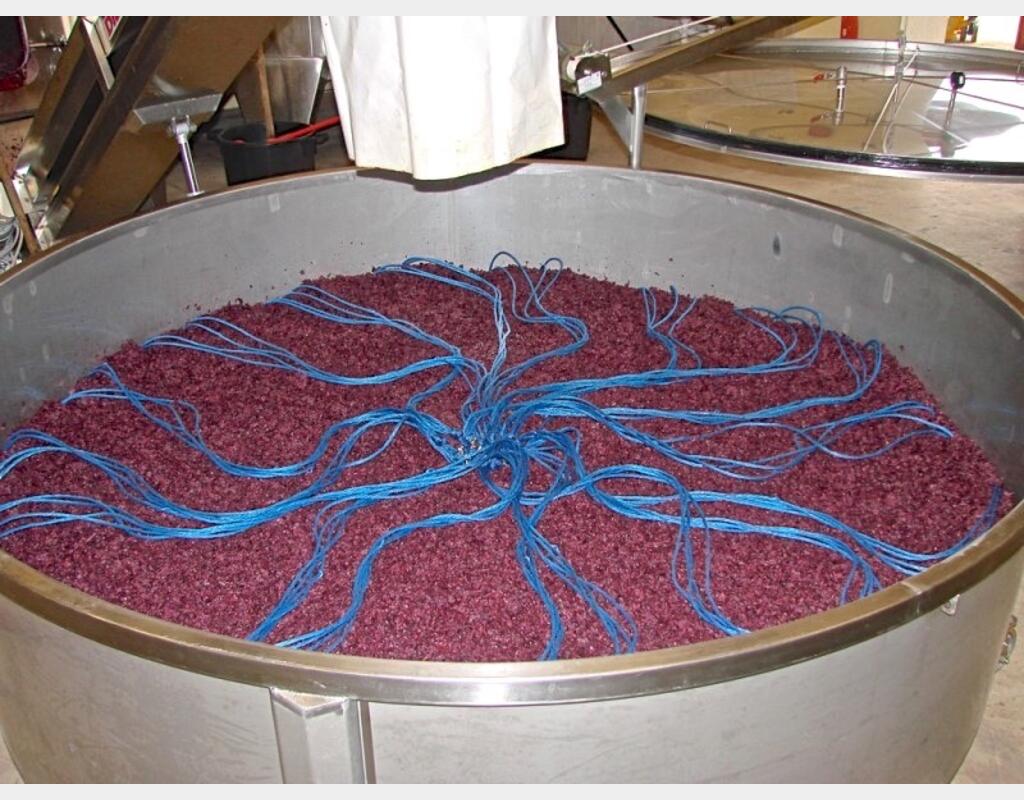Pressoir sous vide - Volumr utile 11 hls (marc)
