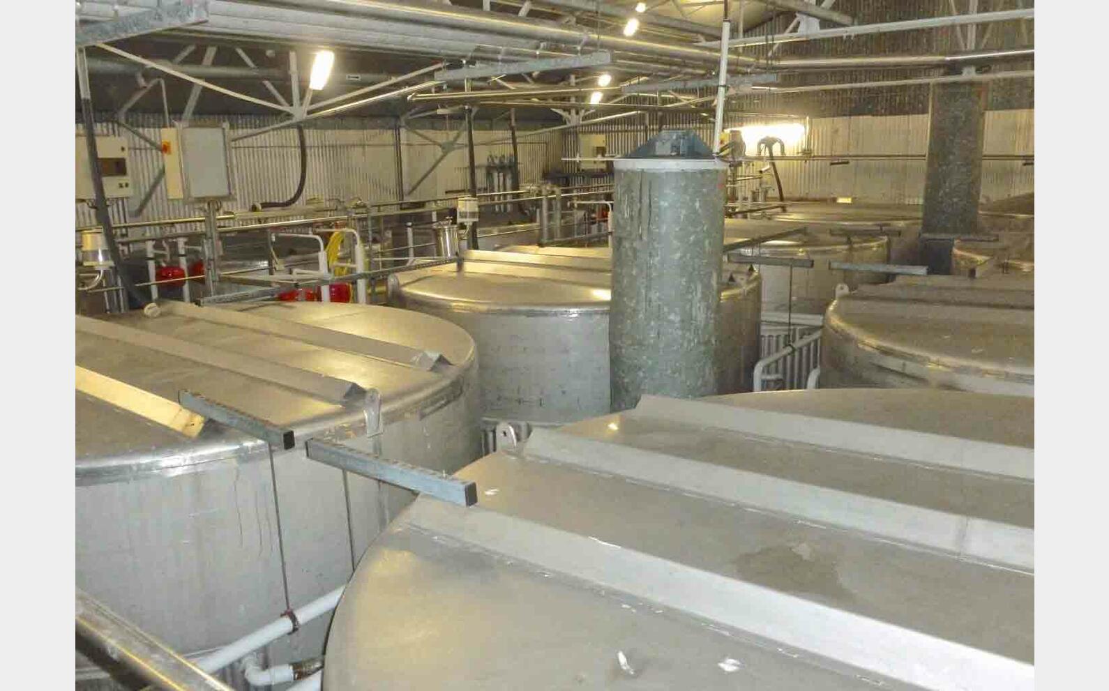 Cuve inox de stockage refroidie Provenance : agroalimentaire (champagne) Marque : ZIEMANN HENGEL