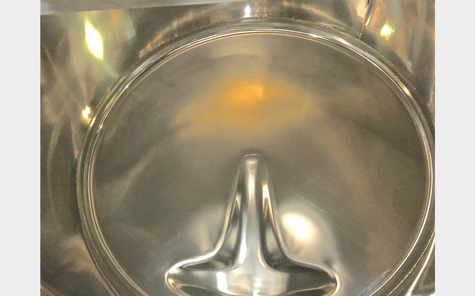 304 ss tank - Mixing 4.58 HL (458 liters) ARSILAC