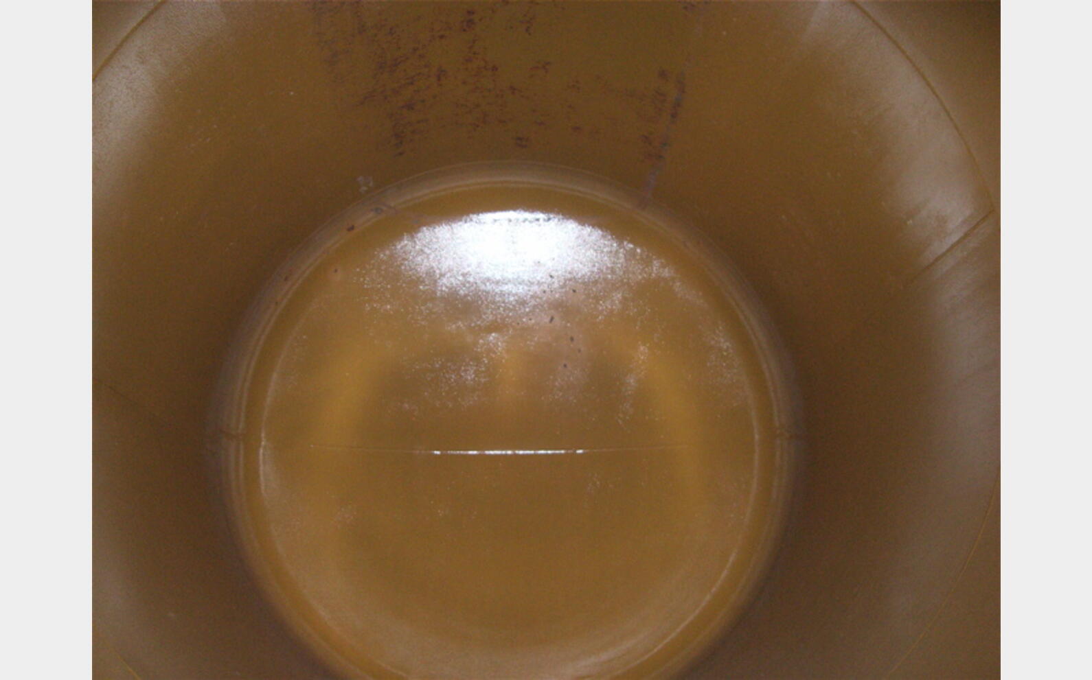 Cuve horizontale acier rev&eacute;tu de 245 hls, occasion
