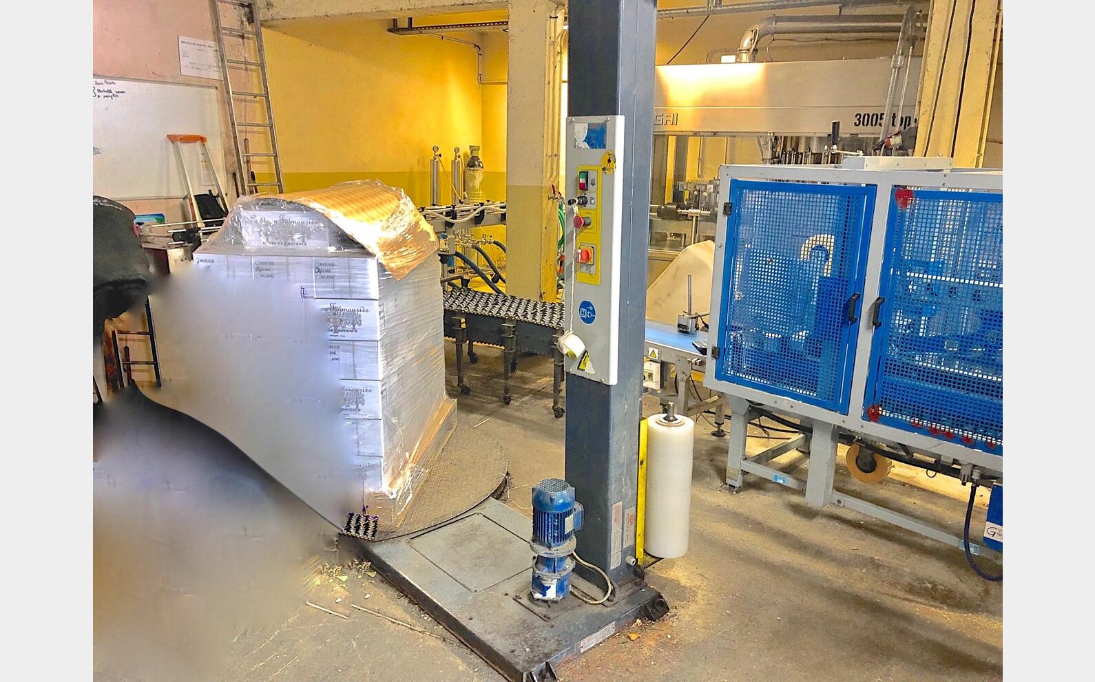 Banderoleuse ECA SYSTEMES CST19