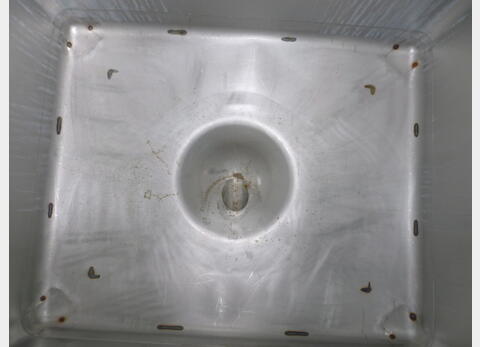 Conteneur de stockage en INOX (TH6) - Volume : 1000 litres