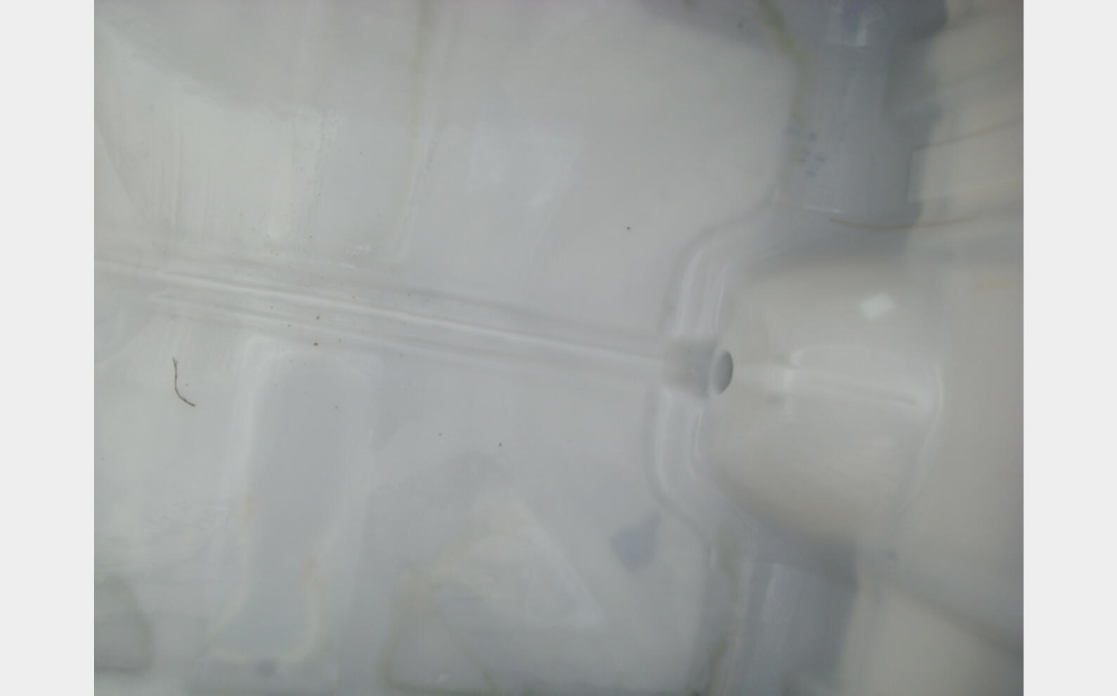 Conteneur plastique 1000 L PE
