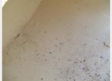 Citerne horizontale 500 litres - Acier peint , tractable