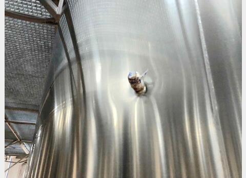 Cuve inox - Avec drapeaux 100 HL (10 000 litres) ALLIANCE INOX