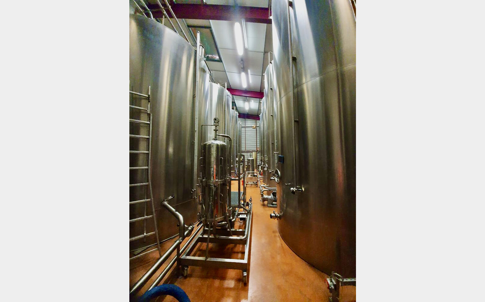 Cuve inox 316L - Fond conique 359 HL (35 900 litres) ALLIANCE INOX