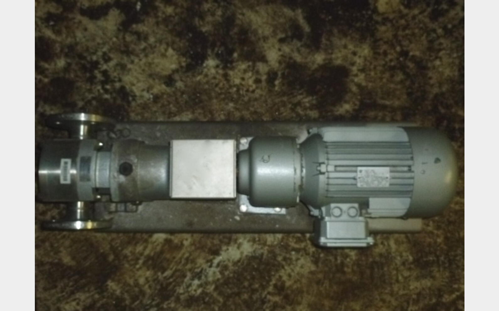 pompe &agrave; lobe INOX 316L