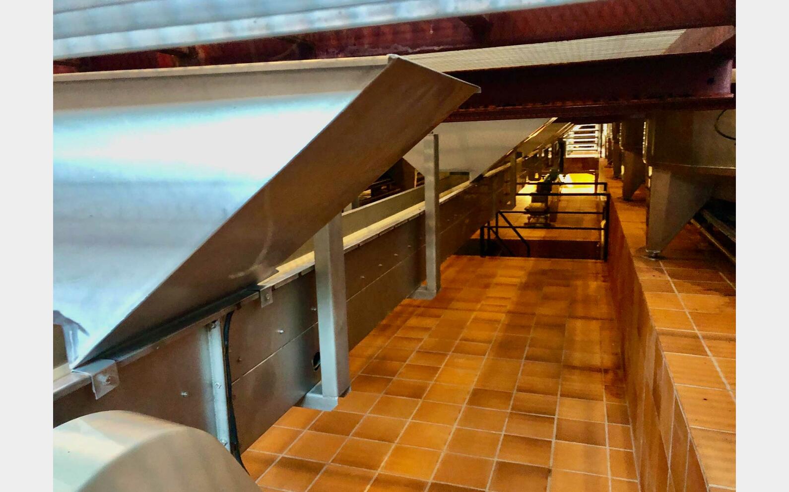 Belt conveyor 20 meters BUCHER
