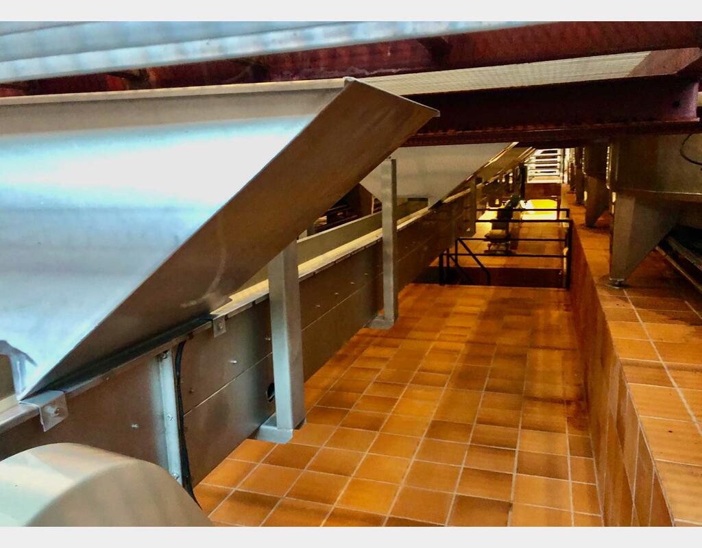 Belt conveyor 20 meters BUCHER