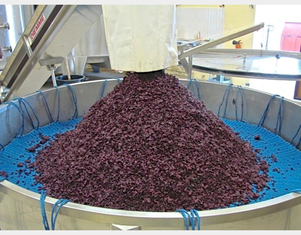 Pressoir sous vide - Volumr utile 11 hls (marc)
