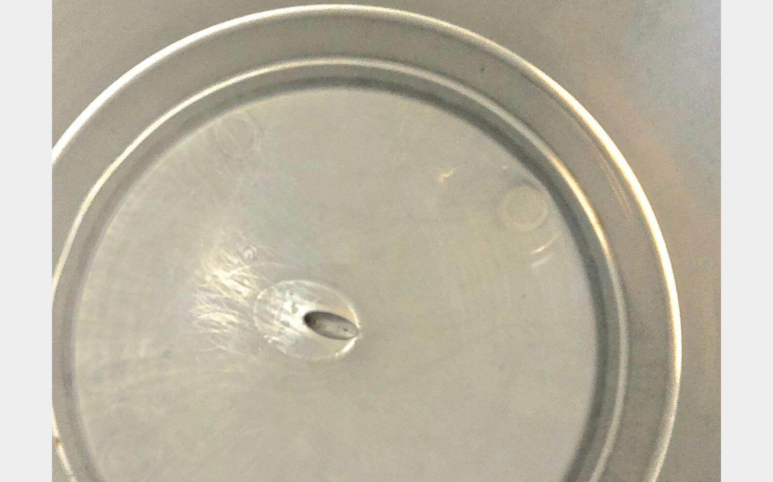 Conteneur INOX 304