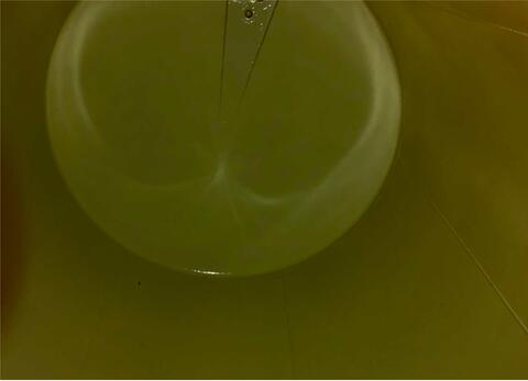 Steel tank 213 HL (21300 liters)