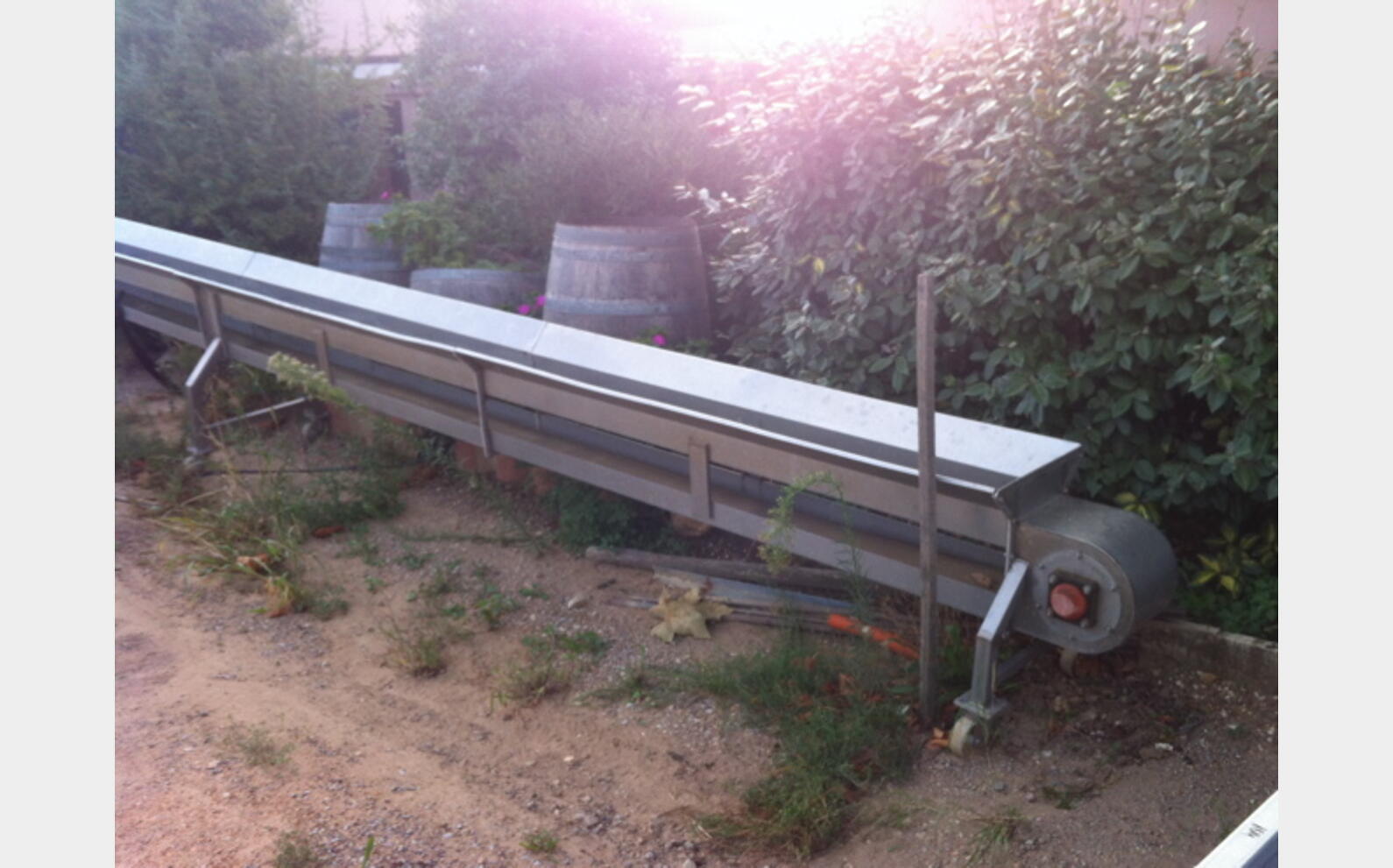 CONVOYEUR A VENDANGE INOX