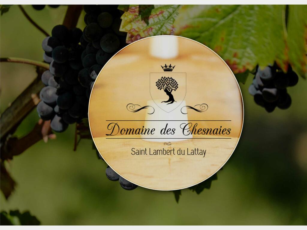 arsilac-domaine-chesnaies-cuve-inox-1