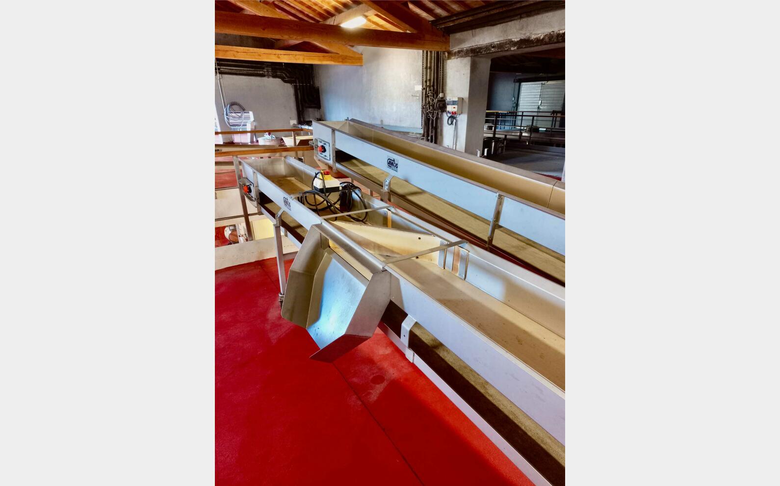 Tapis convoyeur 7,48 M (7 480 mm) AMOS