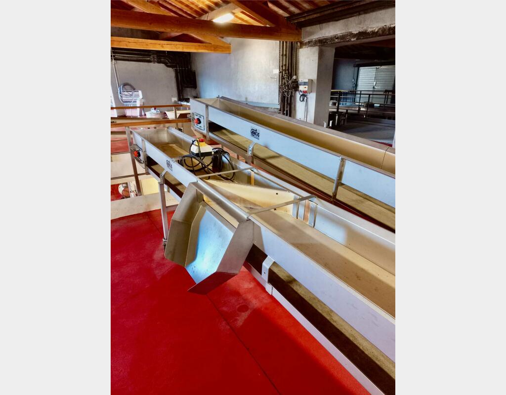 Conveyor belt 8.98 M (8,980 mm) AMOS