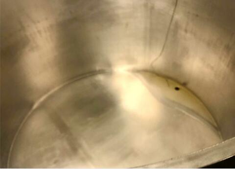 Stainless steel tank 50 HL (5 000 litres)