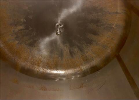 Cuve inox - Cylindro conique 110 HL (11.000 litres) PSS