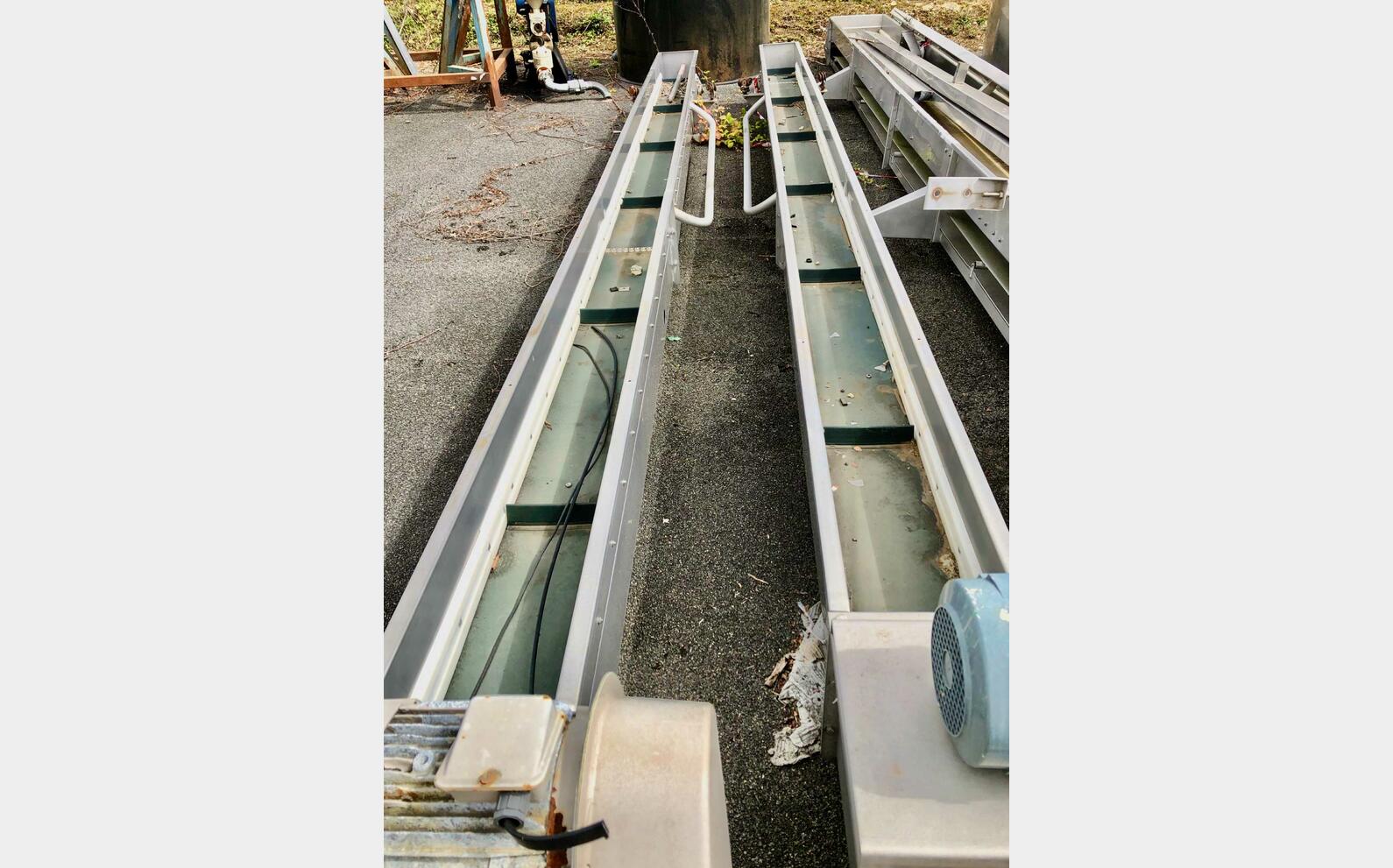 Tapis convoyeur