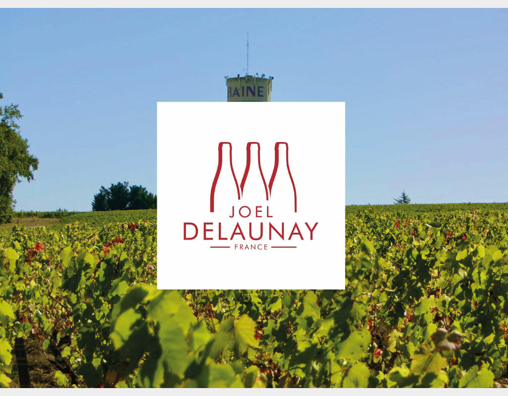 arsilac-actualites-domaine-joel-delaunay-cuve-inox-1