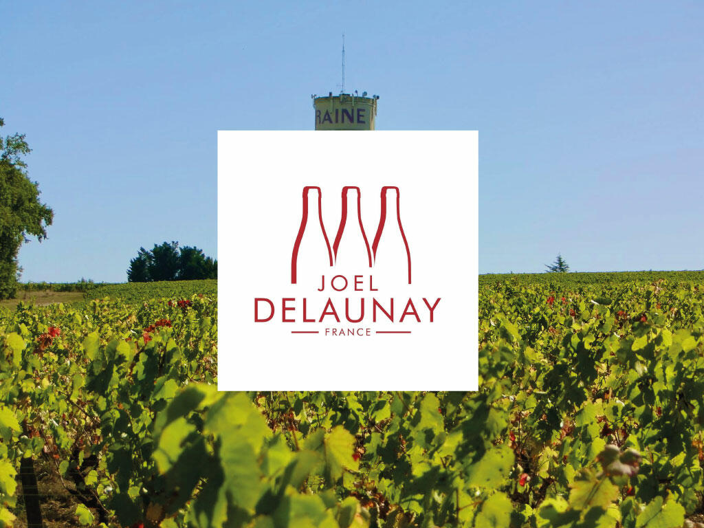 arsilac-actualites-domaine-joel-delaunay-cuve-inox-1