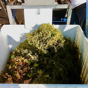 arsilac-actualite-egrappoir-fouloir-procedure-vinicole-3