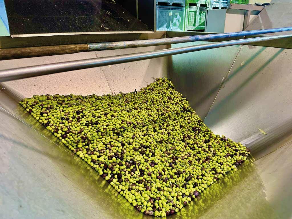 arsilac-acutalites-production-huile-olives-7