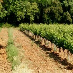 arsilac-actualites-mas-baudin-2