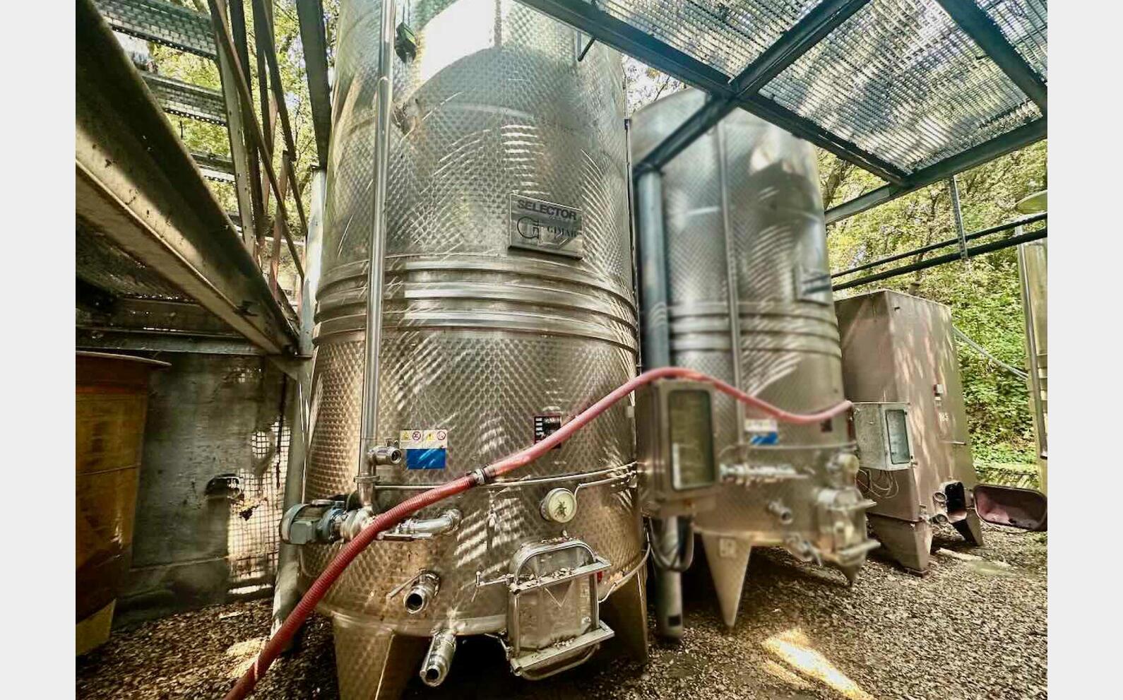 Cuve inox thermorégulée - Autovidante - Fond conique sur pieds