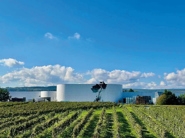 arsilac-actualite-cuves-800hl-co2-economie-2