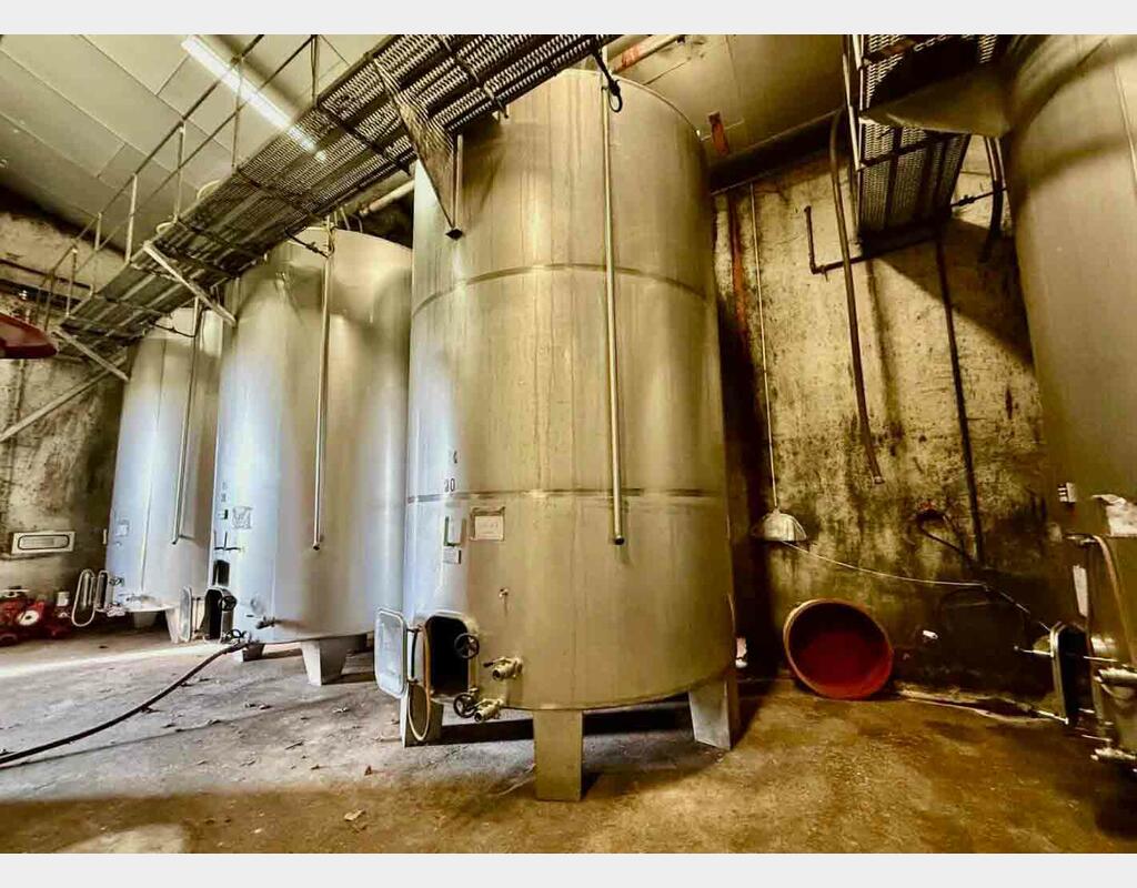 Cuve inox - Thermorégulée - Sur pieds