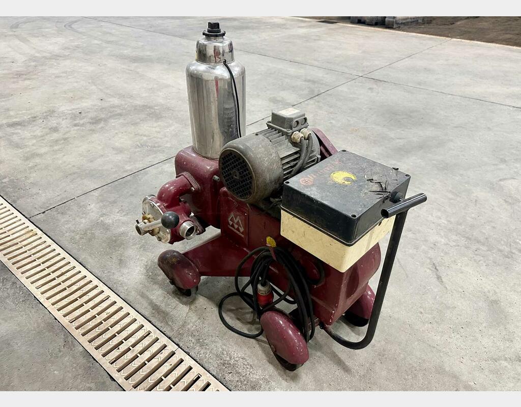 Piston pump 190 hls MANZINI