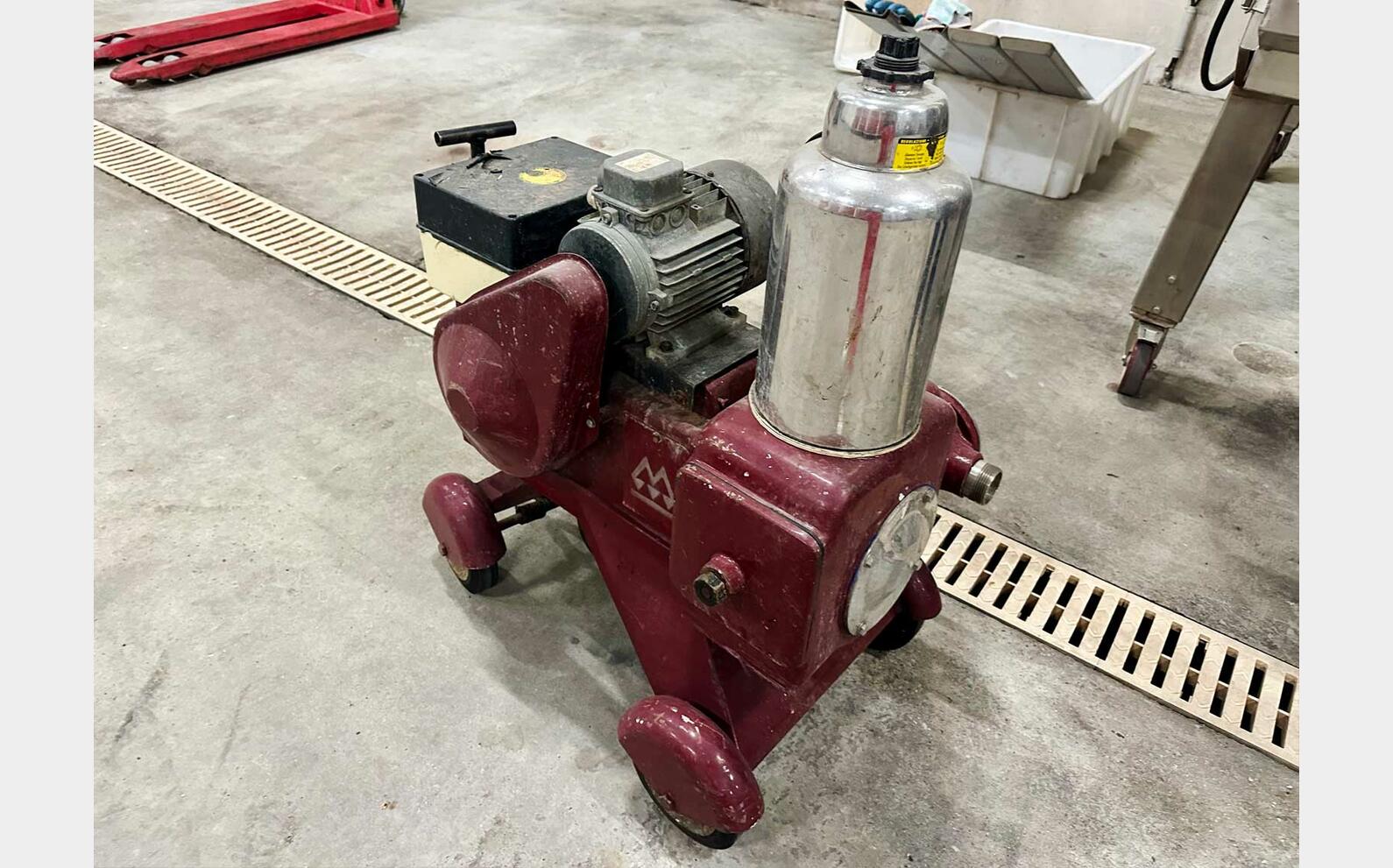 Piston pump 190 hls MANZINI