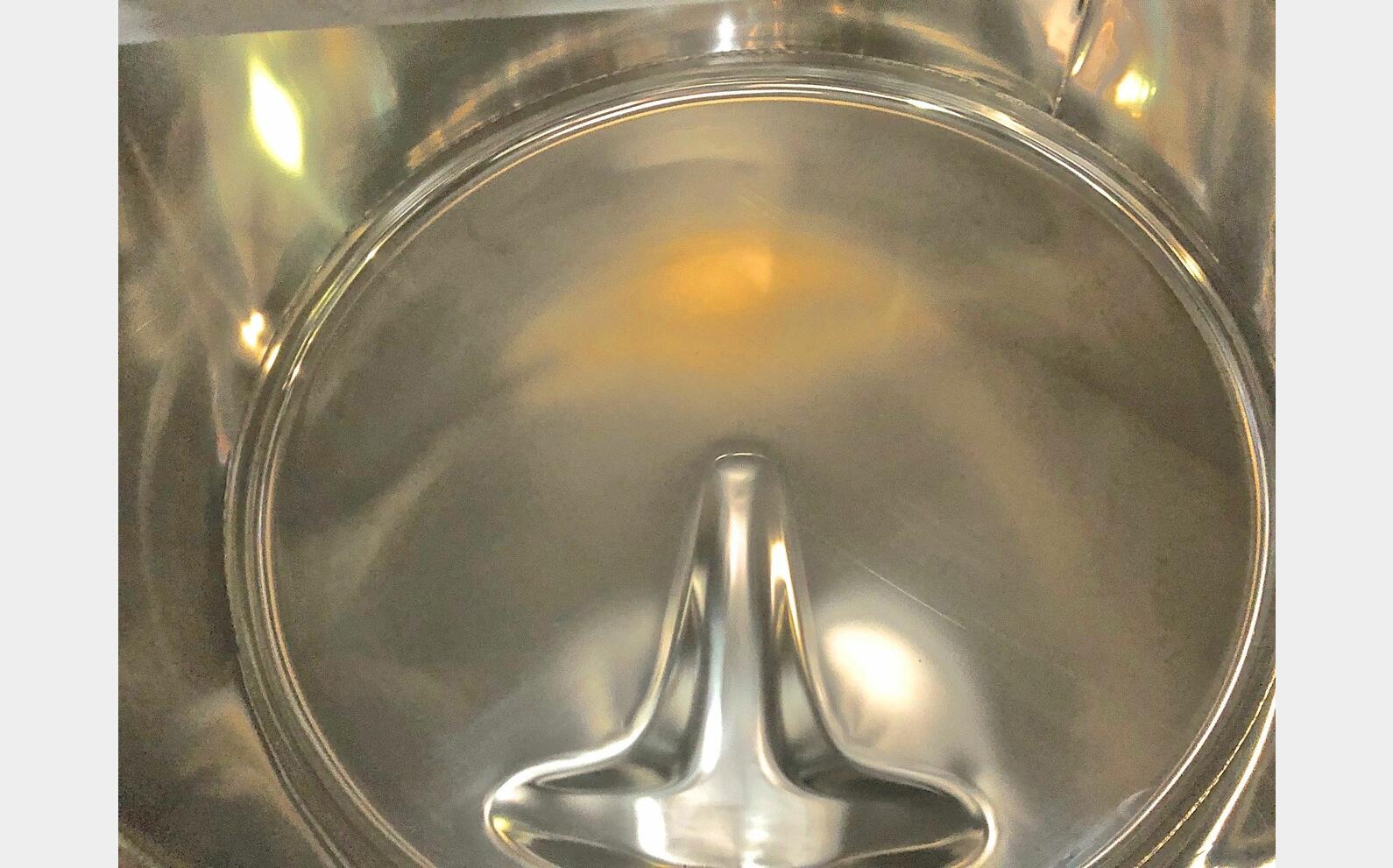 316 ss tank - Double wall 6.4 HL (645 liters) ARSILAC