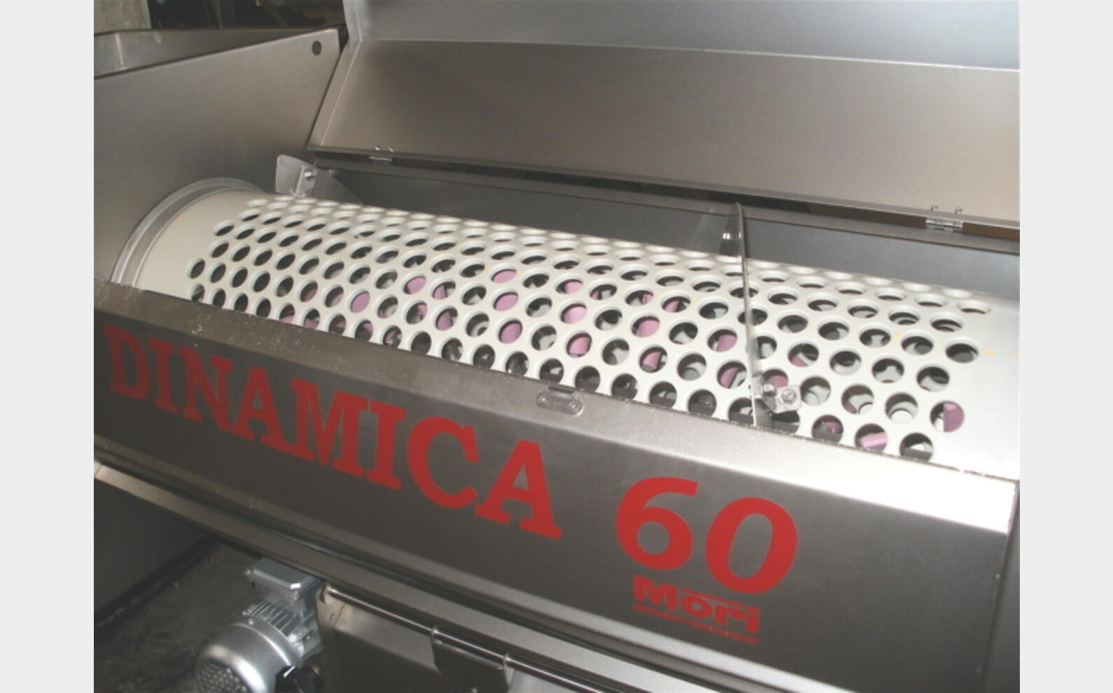 &eacute;grappoir 3 &agrave; 6 T/h MATERIEL NEUF Mod&egrave;le : DINAMICA 60
